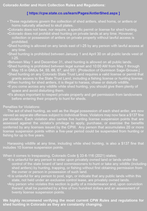 Shed Hunting In Colorado St James Sporting Properties shed-hunting-in-colorado-st-james-sporting-properties